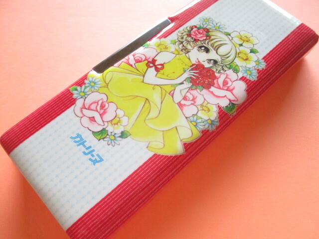 Photo1: Japanese Vintage Magnetic Pen/Pencil Case Box *Catherine