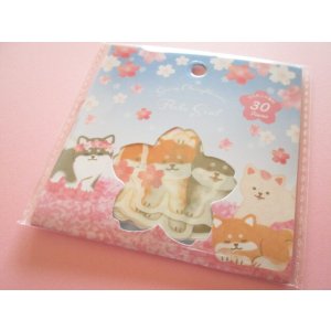 Photo: Kawaii Cute Sticker Flakes Sack Synapse *Cherry blossoms & Shiba Inu (SJI- 33706）