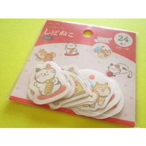 Photo: Kawaii Cute Sticker Flakes Sack Tsutsumu *しばねこ (YW 077)