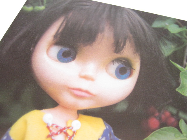 Photo: Cute Blythe Doll Postcard *Leaves